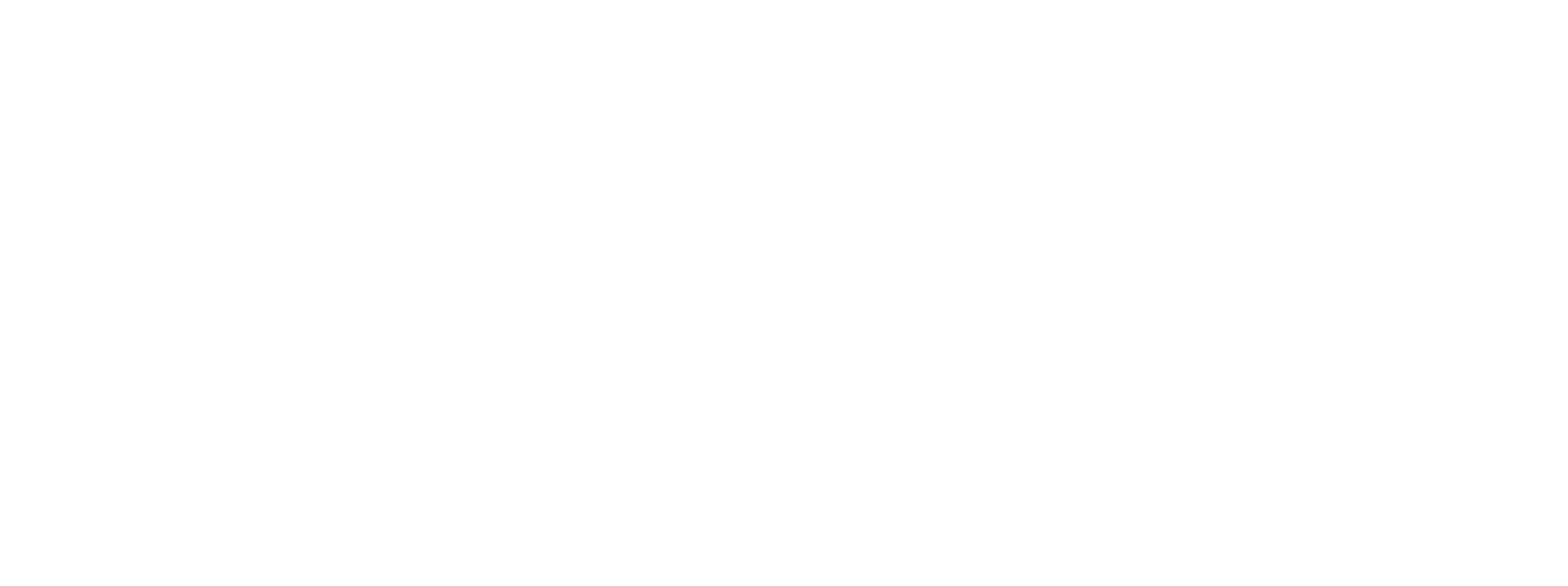 Denovo-logo-main white AAC 5