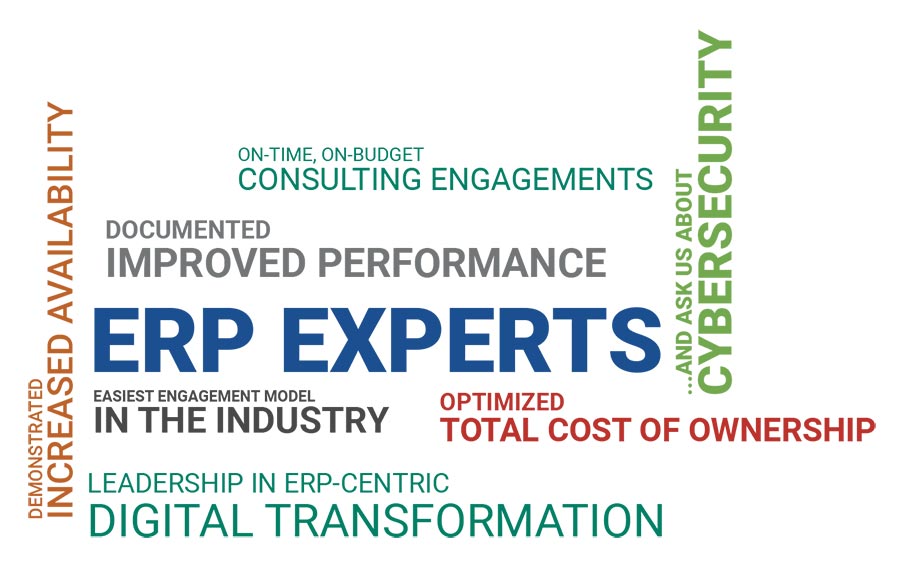 Denovo-ERP-WordCloud Denovo-ERP-WordCloud